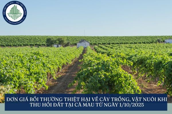 Đơn giá bồi thường thiệt hại về cây trồng, vật nuôi khi thu hồi đất tại Cà Mau từ ngày 1/10/2025