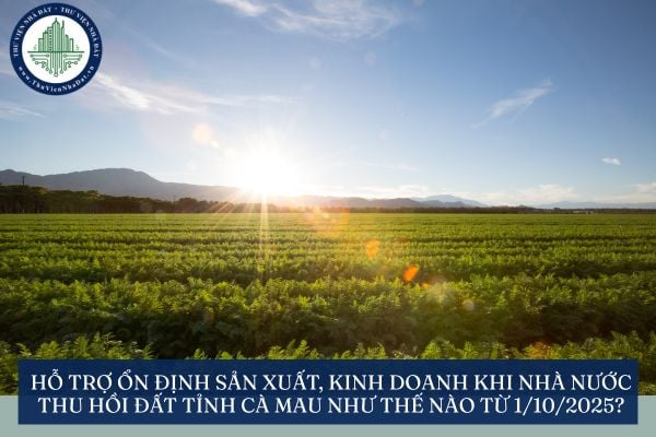 Hỗ trợ ổn định sản xuất, kinh doanh khi Nhà nước thu hồi đất tỉnh Cà Mau như thế nào từ 1/10/2025?