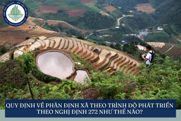 Quy định về phân định xã theo trình độ phát triển theo Nghị định 272 như thế nào?