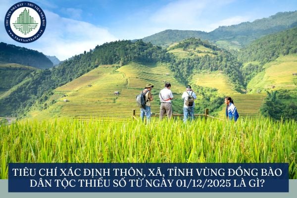 Tiêu chí xác định thôn, xã, tỉnh vùng đồng bào dân tộc thiểu số từ ngày 01/12/2025 là gì?