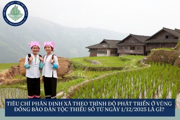 Tiêu chí phân định xã theo trình độ phát triển ở vùng đồng bào dân tộc thiểu số từ ngày 1/12/2025 là gì?
