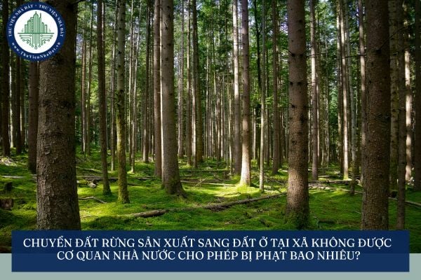 Chuyển đất rừng sản xuất sang đất ở tại xã không được cơ quan Nhà nước cho phép bị phạt bao nhiêu?