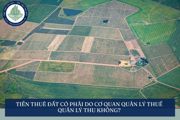 Tiền thuê đất có phải do cơ quan quản lý thuế quản lý thu không?