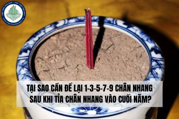 Tại sao cần để lại 1-3-5-7-9 chân nhang sau khi tỉa chân nhang vào cuối năm?