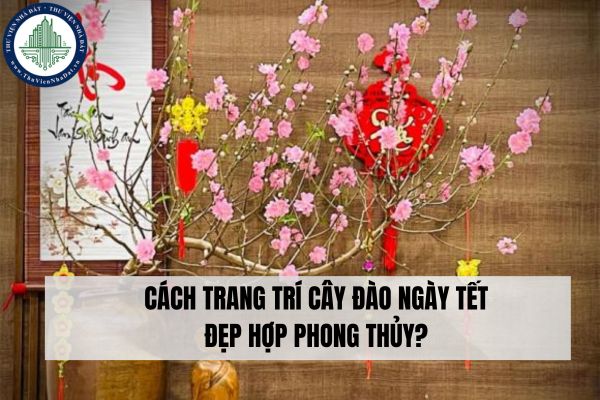 Cách trang trí cây đào ngày Tết đẹp hợp phong thủy?