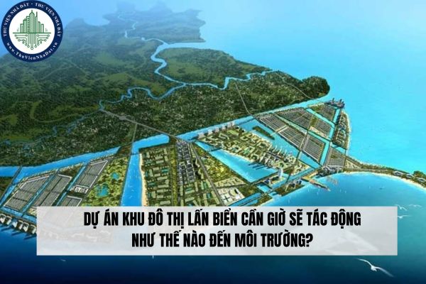 Dự án Khu đô thị lấn biển Cần Giờ sẽ tác động như thế nào đến môi trường?