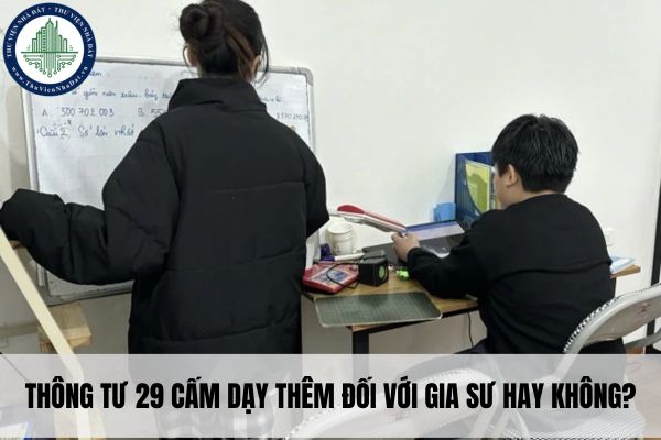 Thông tư 29 cấm dạy thêm đối với gia sư hay không?