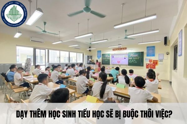 Dạy thêm học sinh tiểu học sẽ bị buộc thôi việc?