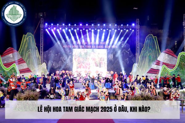 Lễ hội hoa tam giác mạch 2025 ở đâu, khi nào? 