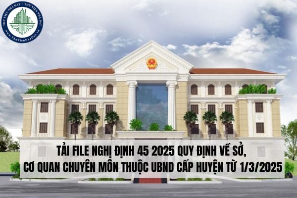 Tải file Nghị định 45 2025 quy định về Sở, cơ quan chuyên môn thuộc UBND cấp huyện từ 1/3/2025