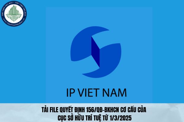 Tải file Quyết định 156/QĐ-BKHCN cơ cấu của Cục Sở hữu trí tuệ từ 1/3/2025