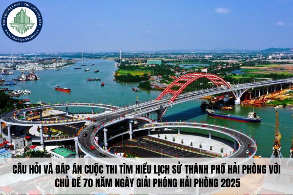 thuviennhadat.vn