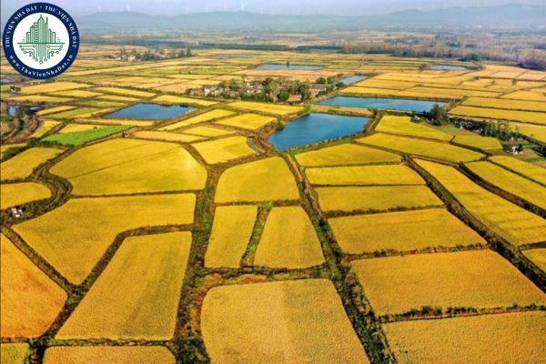 https://cdn.thuviennhadat.vn//upload/hinh-anh-bai-viet/DTDL/thang-08-2025/14/muc-nop-tien-bo-sung-dien-tich-dat-chuyen-trong-lua-bi-mat-hoac-tang-hieu-qua-su-dung-dat-trong-lua.jpg
