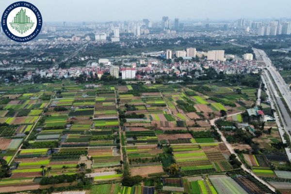 Mẫu giấy đề nghị giảm tiền thuê đất năm 2025 mới nhất là mẫu nào?