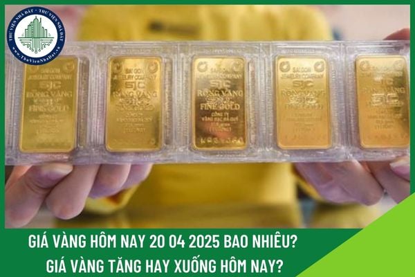 Giá vàng hôm nay 20 04 2025 bao nhiêu? Giá vàng tăng hay xuống hôm nay?