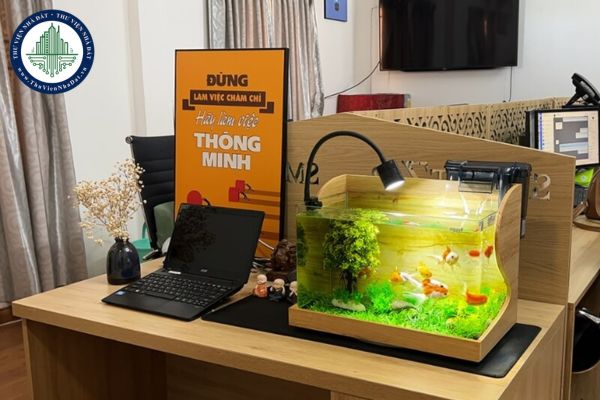 Cách đặt bể cá cảnh hợp phong thủy trong phòng làm việc, thu hút tài lộc