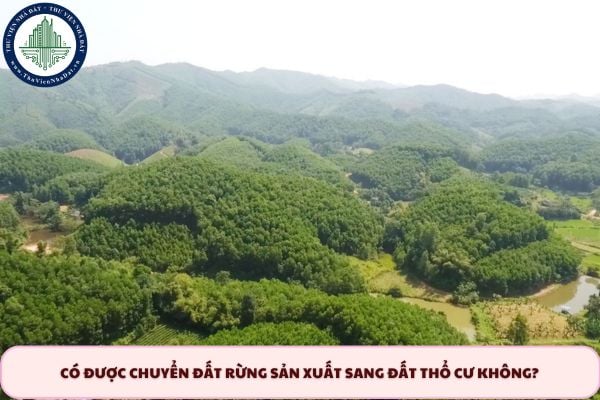 Có được chuyển đất rừng sản xuất sang đất thổ cư không?