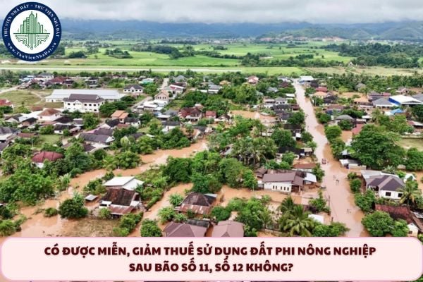 Có được miễn, giảm thuế sử dụng đất phi nông nghiệp sau bão số 11, số 12 không? 