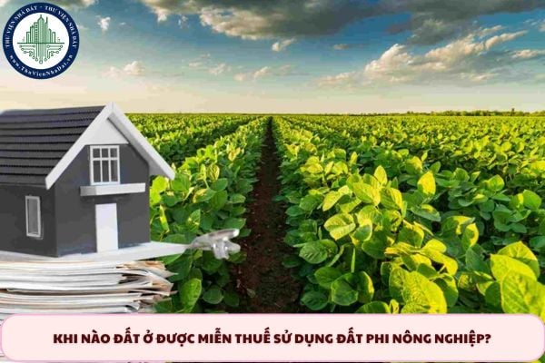 Khi nào đất ở được miễn thuế sử dụng đất phi nông nghiệp?