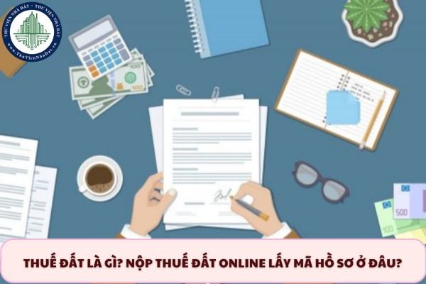 Thuế đất là gì? Nộp thuế đất online lấy mã hồ sơ ở đâu? 