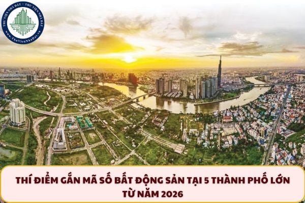 Thí điểm gắn mã số bất động sản tại 5 thành phố lớn từ năm 2026