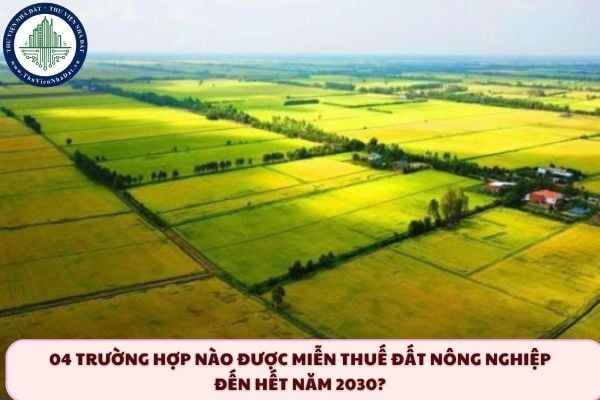 thuviennhadat.vn