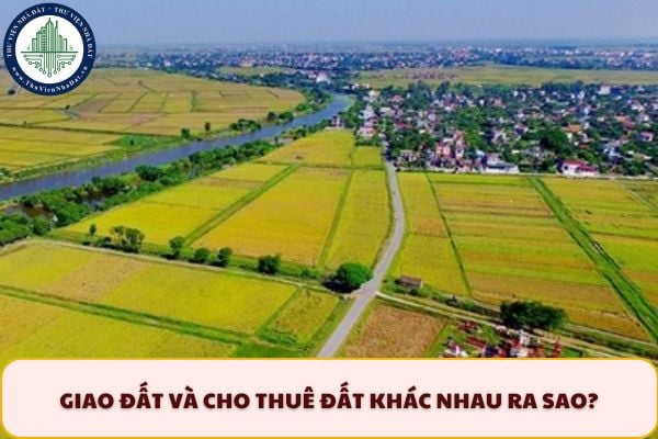 thuviennhadat.vn