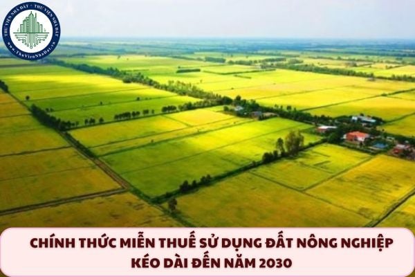 thuviennhadat.vn