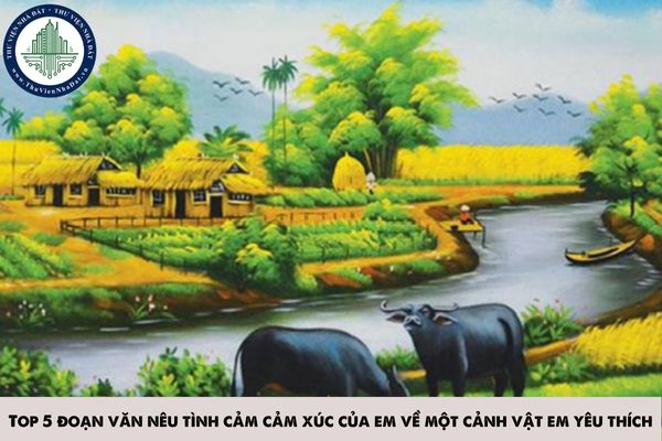 Top 5 đoạn văn nêu tình cảm cảm xúc của em về một cảnh vật em yêu thích