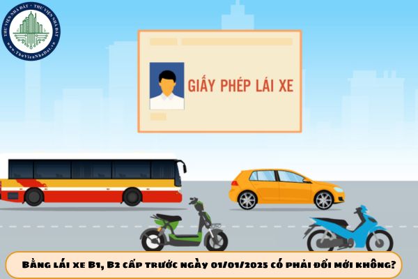 Bằng lái xe B1, B2 cấp trước ngày 01/01/2025 có phải đổi mới không?