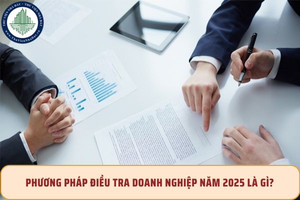 Phương pháp điều tra doanh nghiệp năm 2025 là gì?