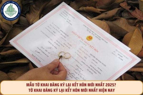 Mẫu tờ khai đăng ký lại kết hôn mới nhất 2025? Tờ khai đăng ký lại kết hôn mới nhất hiện nay