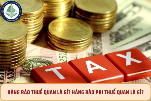 Hàng rào thuế quan là gì? Hàng rào phi thuế quan là gì?