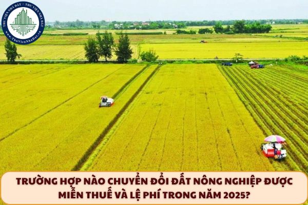 Trường hợp nào chuyển đổi đất nông nghiệp được miễn thuế và lệ phí trong năm 2025?