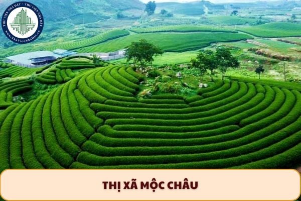 Thị xã Mộc Châu sau sáp nhập tỉnh 2025 có mấy đơn vị hành chính?