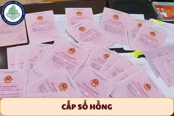 Lạm dụng chức vụ quyền, cấp sổ hồng sai quy định bị‍ xử‍ lý‍ như thế nào?