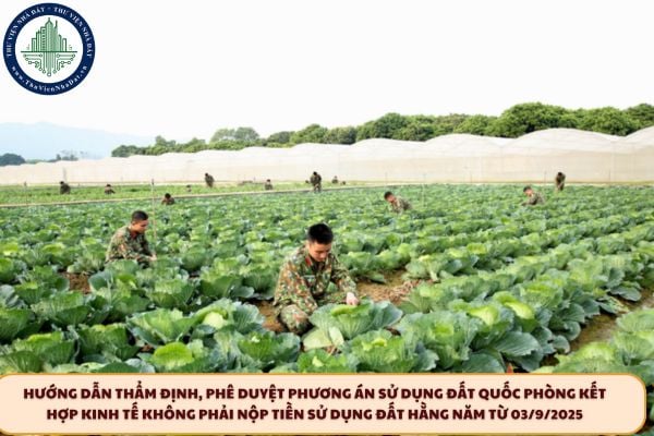 Hướng dẫn thẩm định, phê duyệt phương án sử dụng đất quốc phòng kết hợp kinh tế không phải nộp tiền sử dụng đất hằng năm từ 03/9/2025
