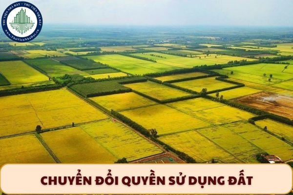 Cá nhân có được chuyển đổi đất nông nghiệp khác tỉnh không?