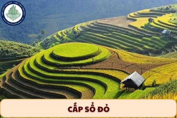 Thủ tục cấp sổ đỏ do thực hiện đổi đất theo phương án dồn điền, đổi thửa như thế nào?