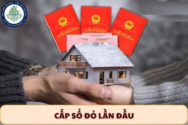 Hồ sơ cấp sổ đỏ lần đầu đối với tổ chức đang sử dụng đất từ ngày 25/8/2025