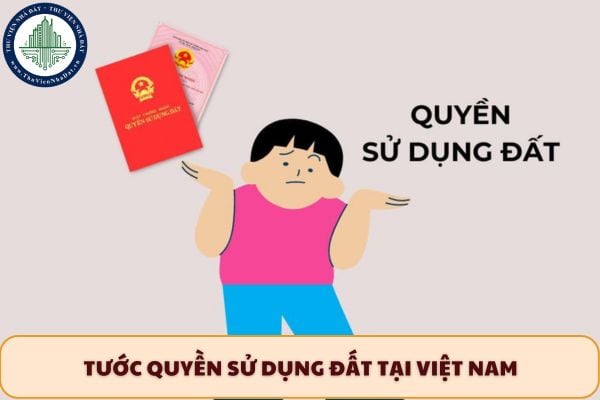 Người thôi quốc tịch Việt Nam và nhập quốc tịch nước ngoài có bị tước quyền sử dụng đất tại Việt Nam không?