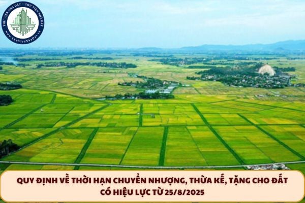 Quy định về thời hạn chuyển nhượng, thừa kế, tặng cho đất có hiệu lực từ 25/8/2025