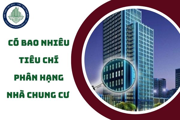 Có bao nhiêu tiêu chí phân hạng chung cư (hình từ internet)