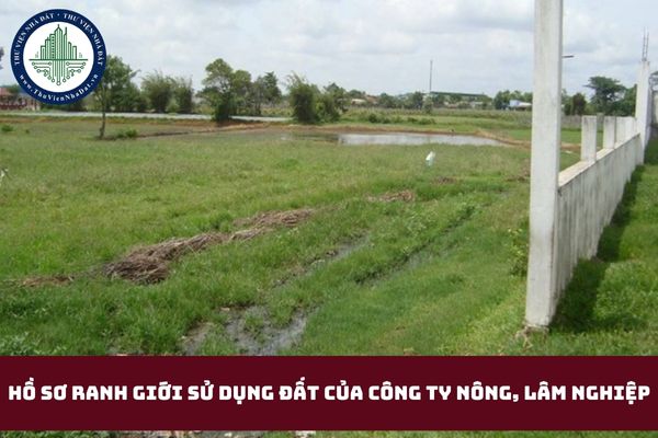 Hồ sơ ranh giới sử dụng đất của công ty nông, lâm nghiệp theo Thông tư 26? (hình từ internet)