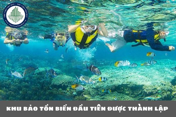 Khu bảo tồn biển đầu tiên được thành lập ở Việt Nam là khu bảo tồn nào? (hình từ internet)