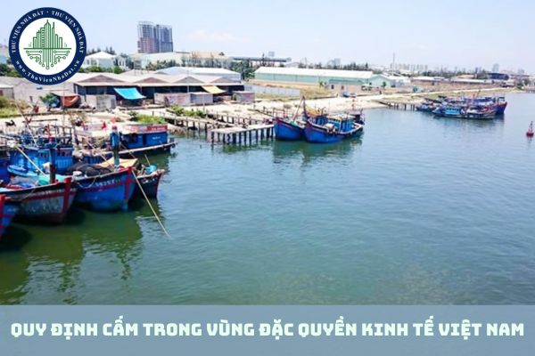 Quy định cấm trong vùng đặc quyền kinh tế Việt Nam được quy định như thế nào? (hình từ internet)