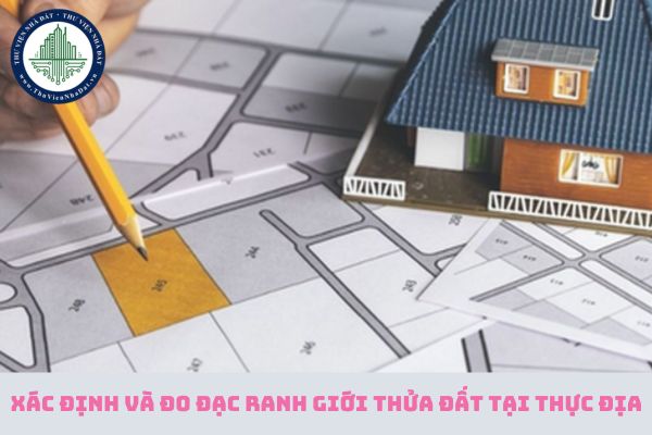 Quy định việc xác định và đo đạc ranh giới thửa đất tại thực địa trong nội dung bản đồ địa chính từ năm 2025? (hình từ internet)