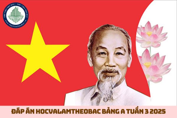 Đáp án cuộc thi Tuổi trẻ học tập làm theo tư tưởng Hồ Chí Minh bảng A tuần 3? Đáp án học và làm theo Bác tuần 3 bảng A 2025? (hình từ internet)