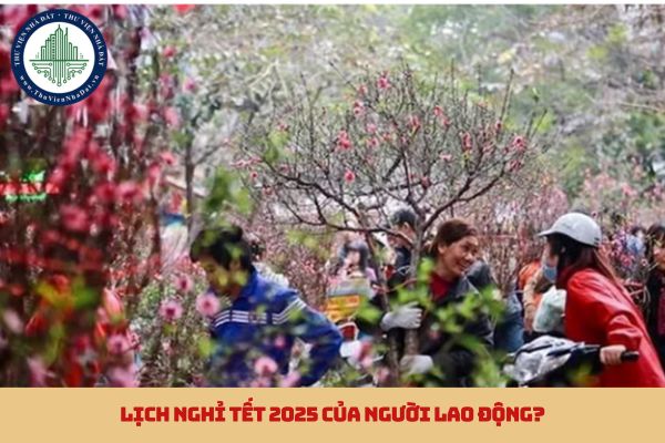 Lịch nghỉ Tết 2025 của người lao động? (hình từ internet)