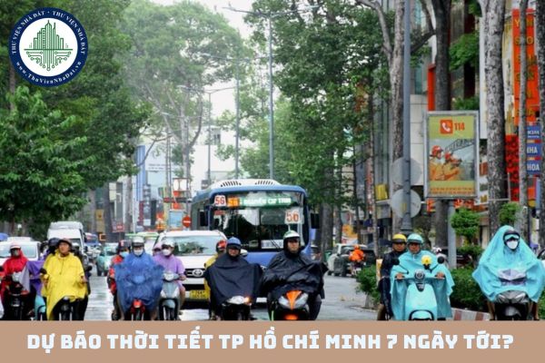 Dự báo thời tiết TP Hồ Chí Minh 7 ngày tới? TP Hồ Chí Minh xuất hiện mưa trái mùa? (hình từ internet)